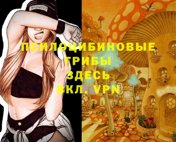 круглые Армянск